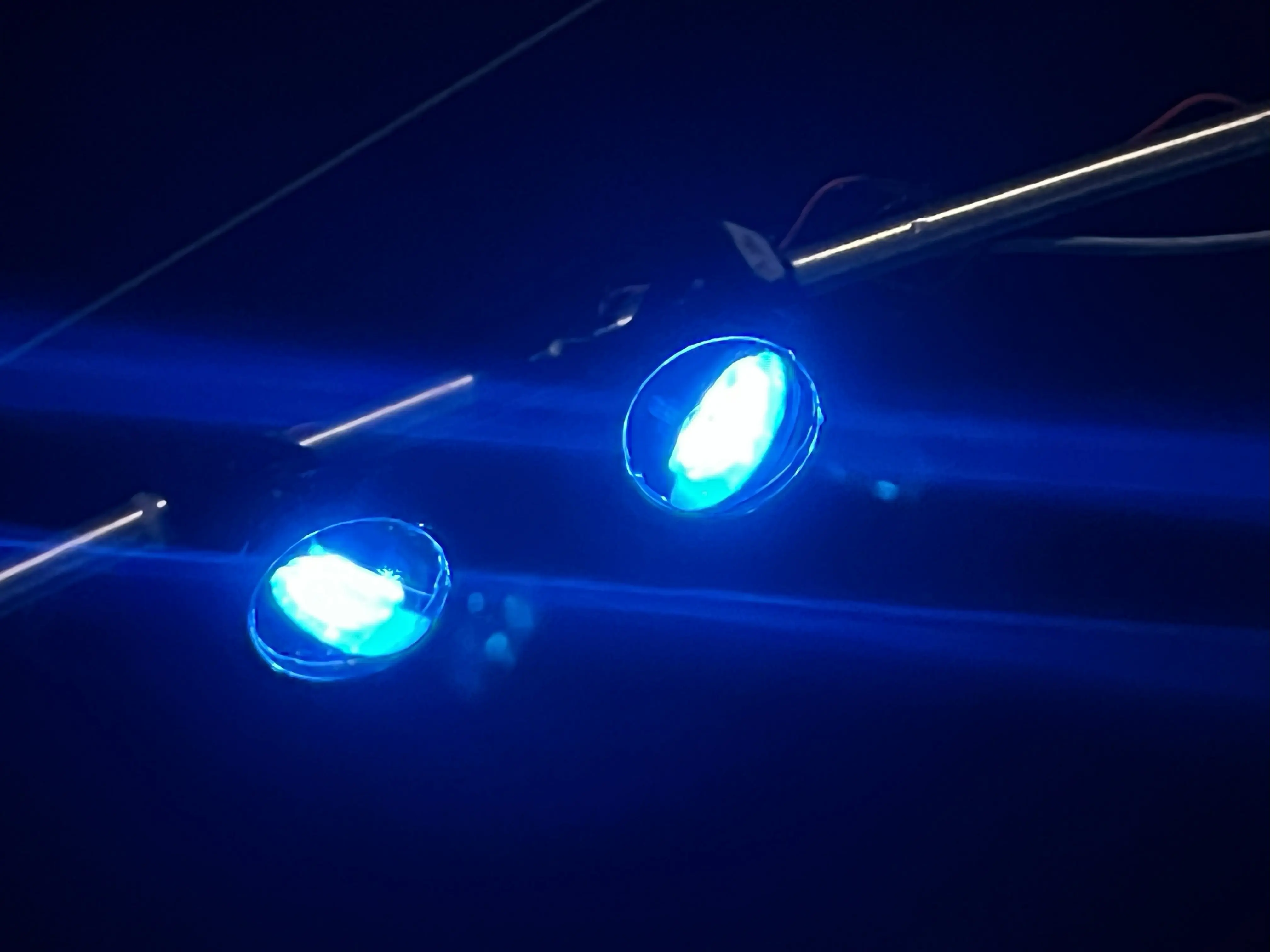 Fujishima Illumination 2025 — Stanley Electric Lights Up the