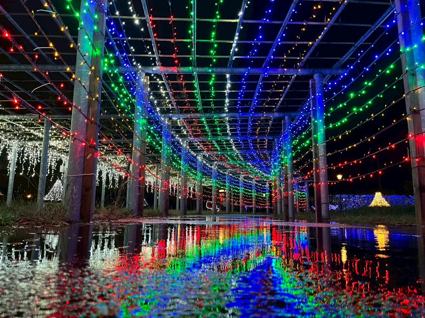 山形県鶴岡市の藤島イルミネーション2025に参加！点灯式ではLED